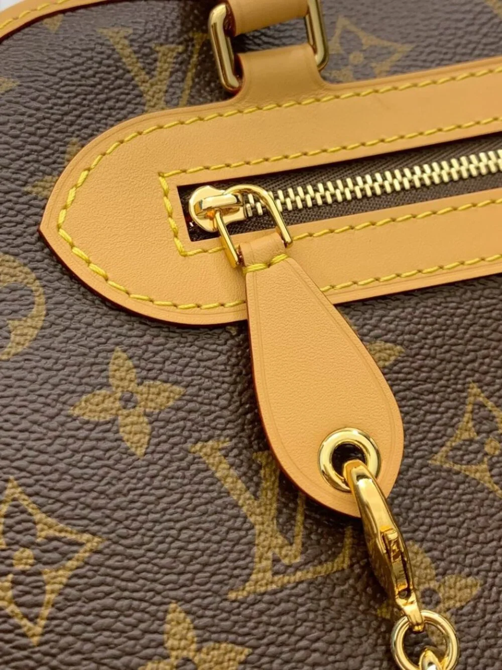 Louis Vuitton Ever More PM Monogram